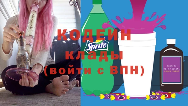 молекула духа Богданович